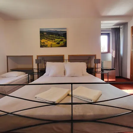 Apartment Amadeus